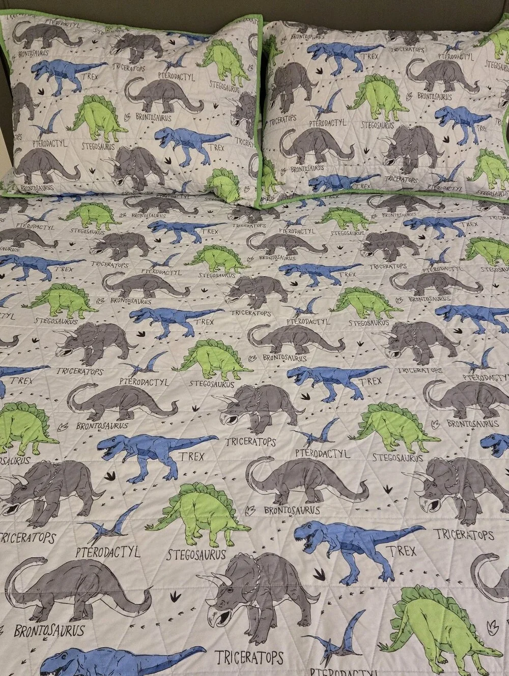 Reversable Dinosaur Quilt Comforter Set, Size Full